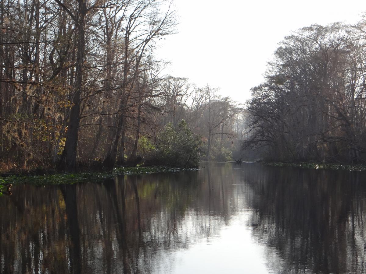 Ocklawaha River