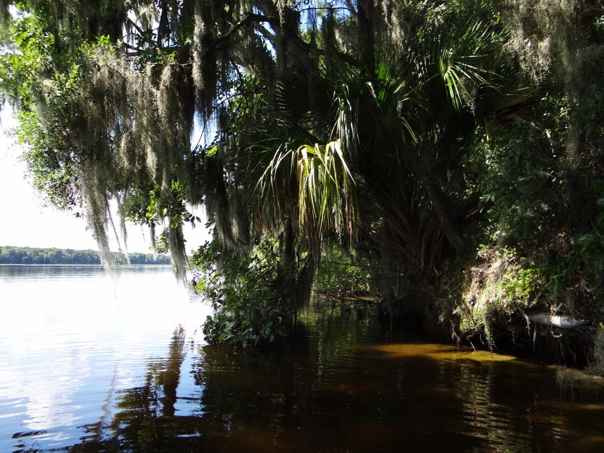 St. Johns River